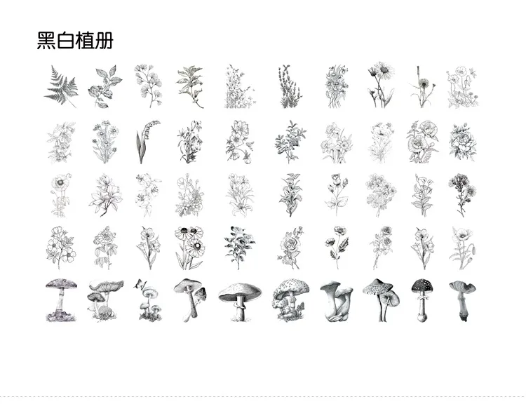 50 шт. Kawaii Bird канцелярские наклейки s винтажные наклейки "растения" стикер на клейкой основе для детей декор Скрапбукинг дневник принадлежности для альбома