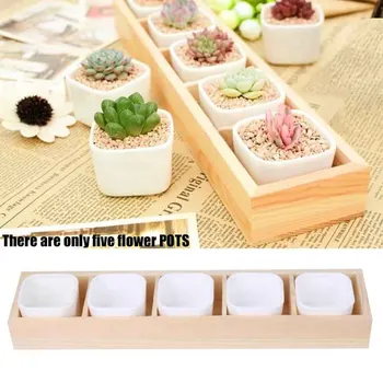 

5pcs Cactus Flower Pot Home Decorartion Living Room Windowsill Office Square Planter Succulent Plants Nursery Grow Container