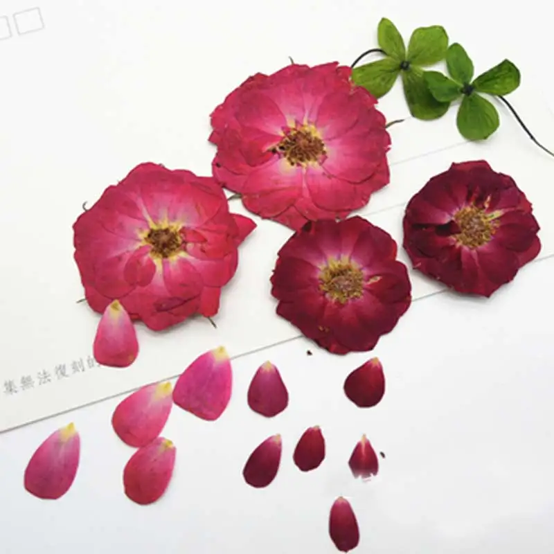 

Красная роза прессованные цветы, сырье, ожерелье, украшение для ювелирных изделий, бесплатная доставка