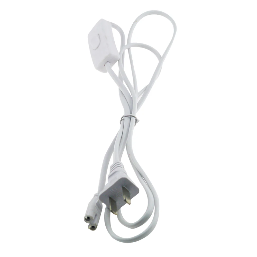 2 PIN us plug
