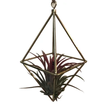 

Hanging Tillandsia Air Plants Rack Metal Geometric Iron Art Rustic Flower Planter Pot Plants Rack
