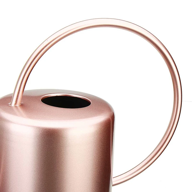 ELEG-1300Ml Лейка металлическая садовая из нержавеющей стали для дома Цветочная бутылка для воды удобная ручка для полива растений длинный рот