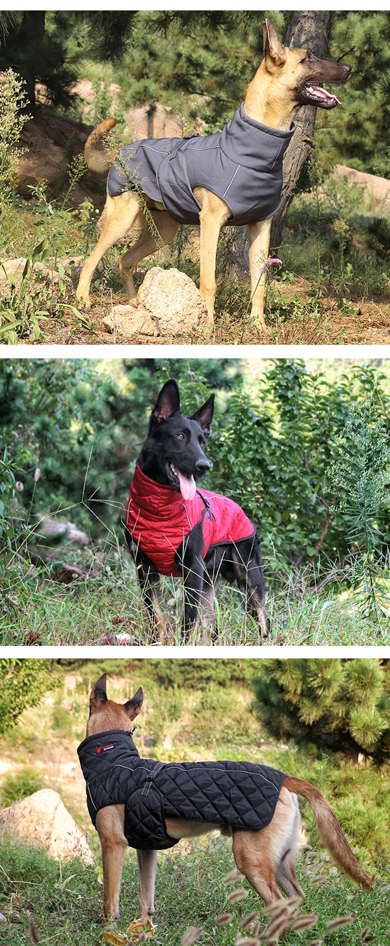 O1CN01bMvulm1QkudbarUqV_!!2340322015 (1)