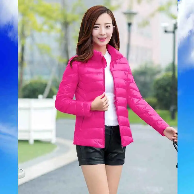 

Off Season Cotton Coat Women Slim Short down Feather Cotton-padded Clothes Korean-style Students Slim Fit Slimming Winter Coat S