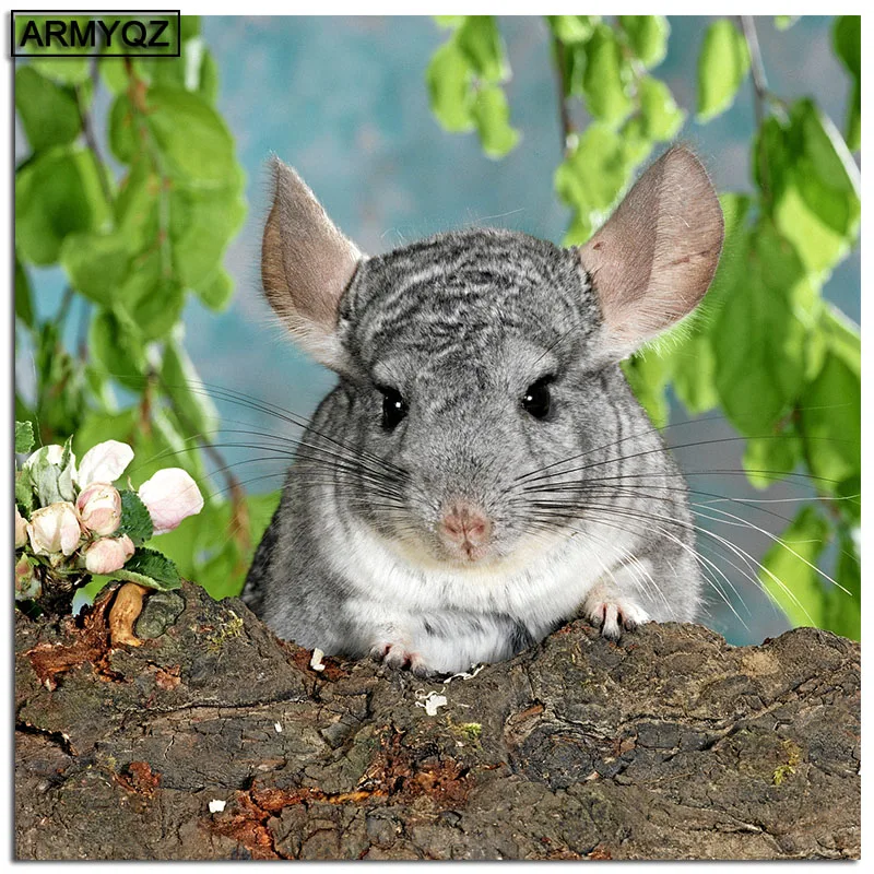 HTB1k.t2OgHqK1RjSZFkq6x.WFXa0