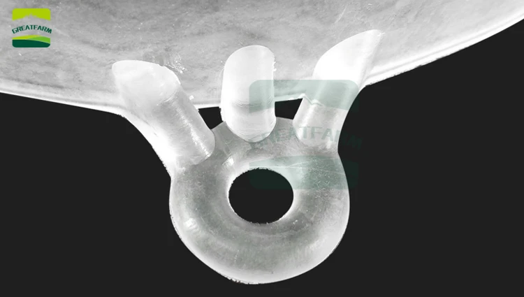 Shaxsiy osilgan kokraklar fotosurati Qizlarning tukli mushuklari