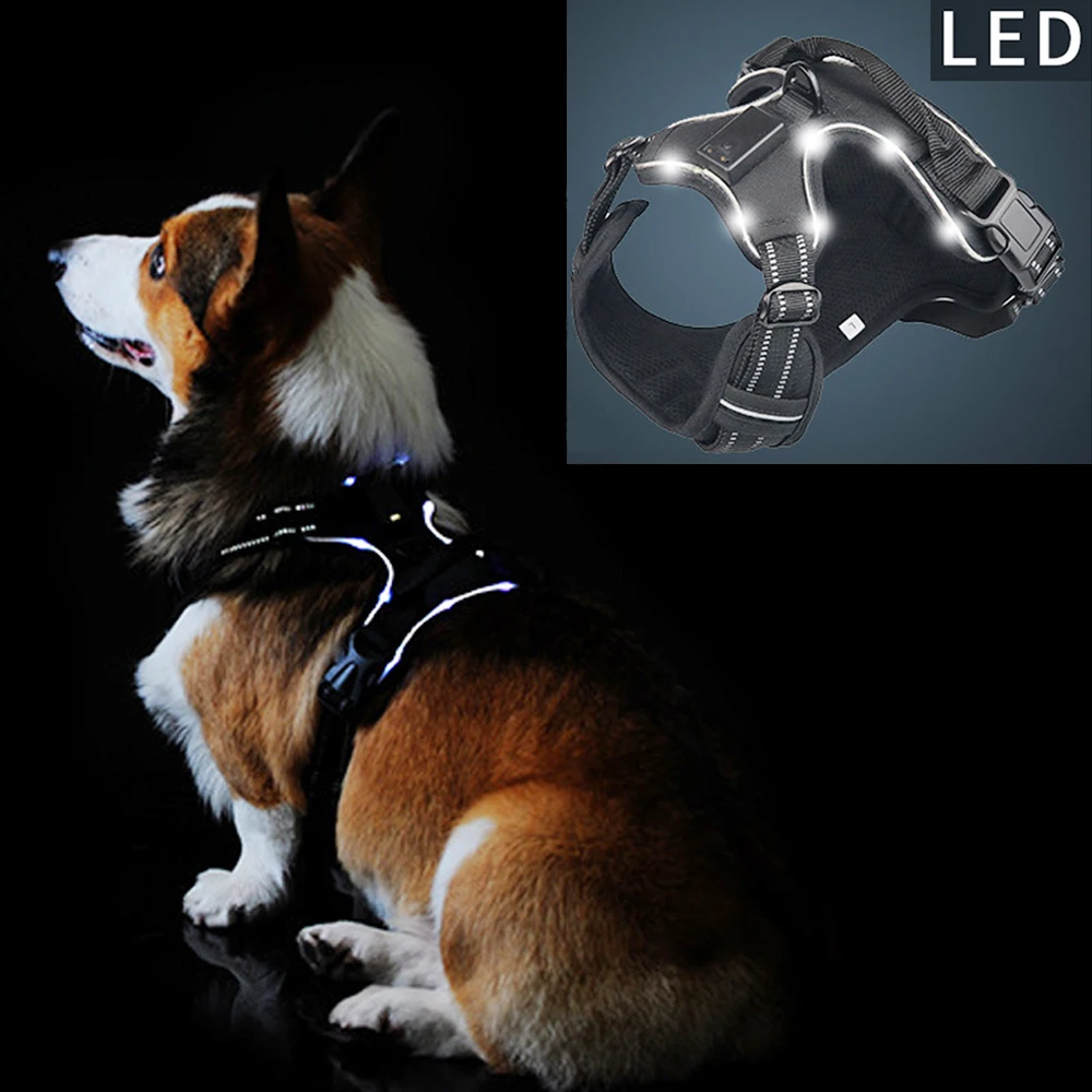 

Pet Product LED Harness Tailup Nylon Flashing Light Safety Dog Harness Leash Rope Belt LED Dog Collar Vest Pet Supplies