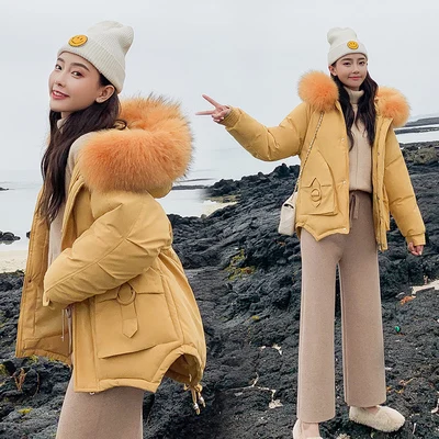 Big fur collar Parka Winter Jacket Women Coat Korea Loose Warm Cotton Padded Outerwear Solid Casual Female Hooded Coats - Цвет: yellow