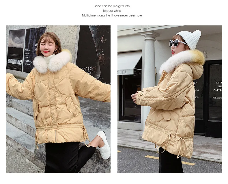Autumn And Winter Down Jacket Women's Short-height Korean-style Loose-Fit Fox Fur Collar Pike off Season Mid-length White D