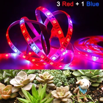

LED Grow Light Full Spectrum 5M LED Strip Light 5050 LED Plant Phyto Growth Lamp