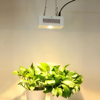 

Original Cree chip 200W Growing Lamp Plant Growth Lighting COB LED Grow Light for greenhouse Indoor grow tent light kweektent