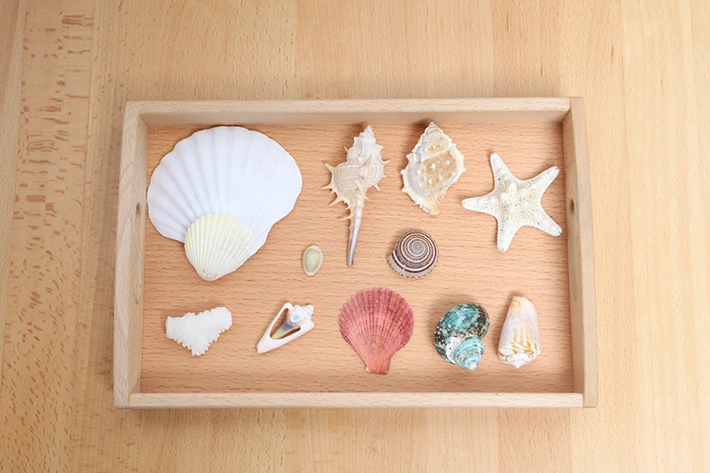 O1CN01fAdt9b1ByS6eP1vM0_!!36560014