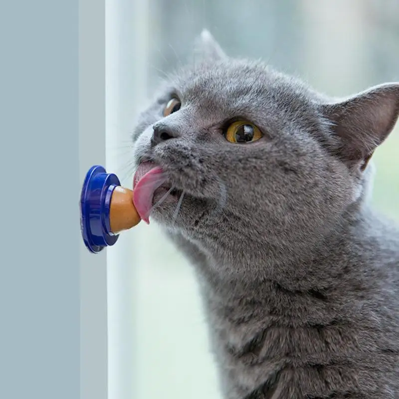 

2019 Cat Catnip Sugar Cat Snacks Licking Candy Nutrition Energy Ball Toy for Cat Kitten Playing Healthy Pet Cat Supplies