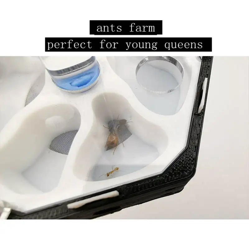 ants farm product by 3D printer with tube to stop up water