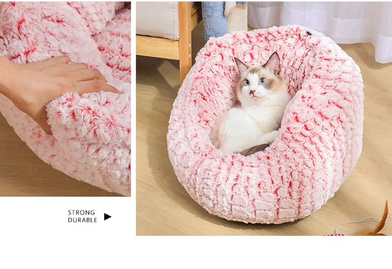 941d371f9e80b4843c71c1598439bdbc_11843473315_122352460