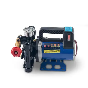 

Agricultural portable electric fruit tree sprayer 12V48V60V220V high voltage double cylinder plunger medicine pump