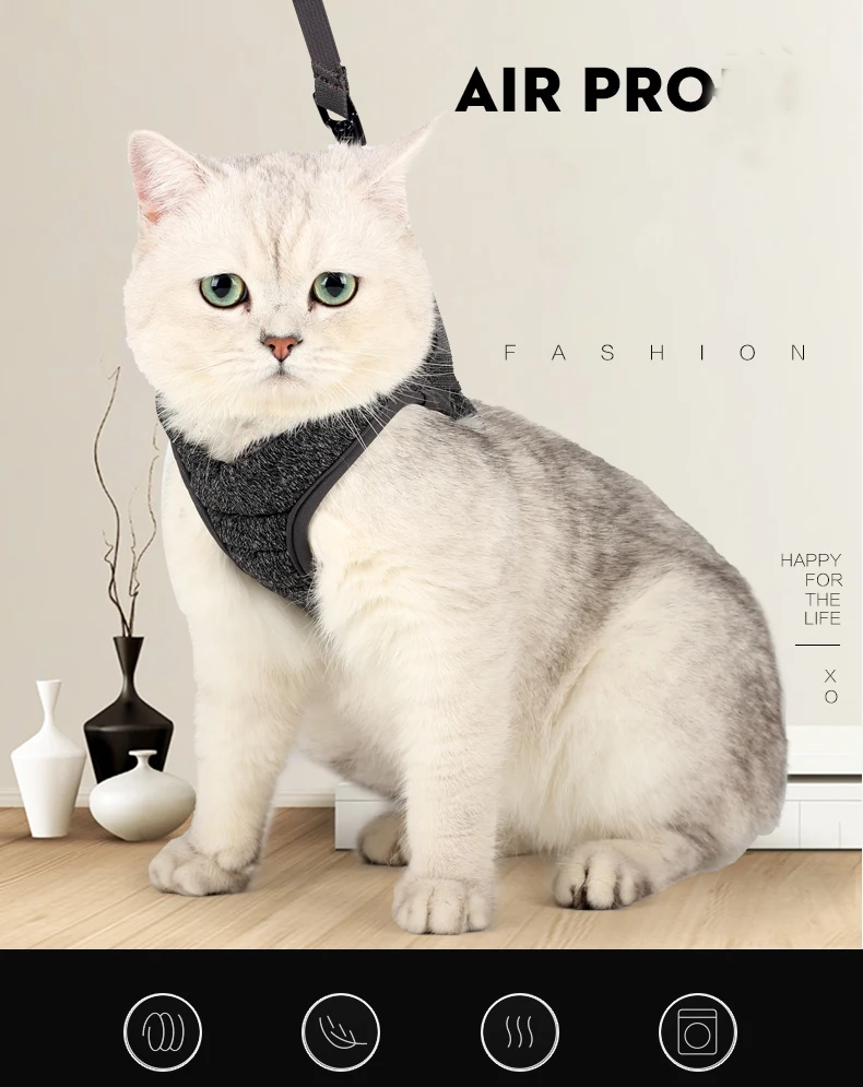 猫背带_01-1