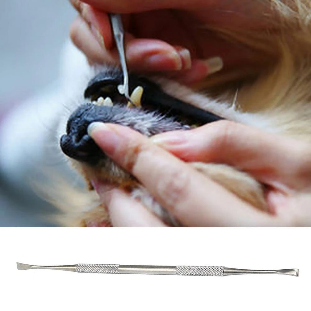 Doublehead Stainless Steel Pet Tartar Stone Remover Scraper Scaler For