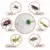 Pest and Critter Catcher Creative Insect Bug Humane Friendly Trap UK Catching Spider Roaches Scorpions Flies Crickets Druable