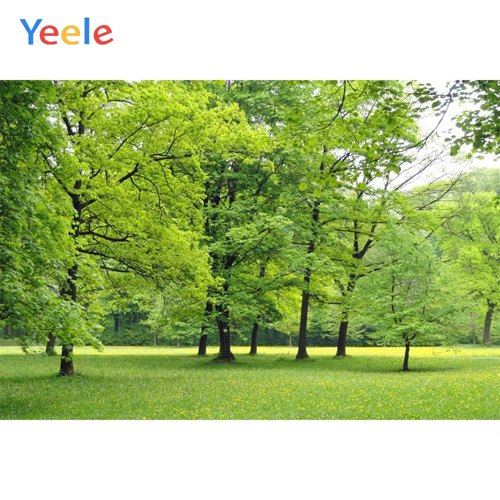 

Gold Leaves Forest Landscape Autumn Flower Grass Photography Tree Backdrop Personalized Photographic Background For Photo Studio
