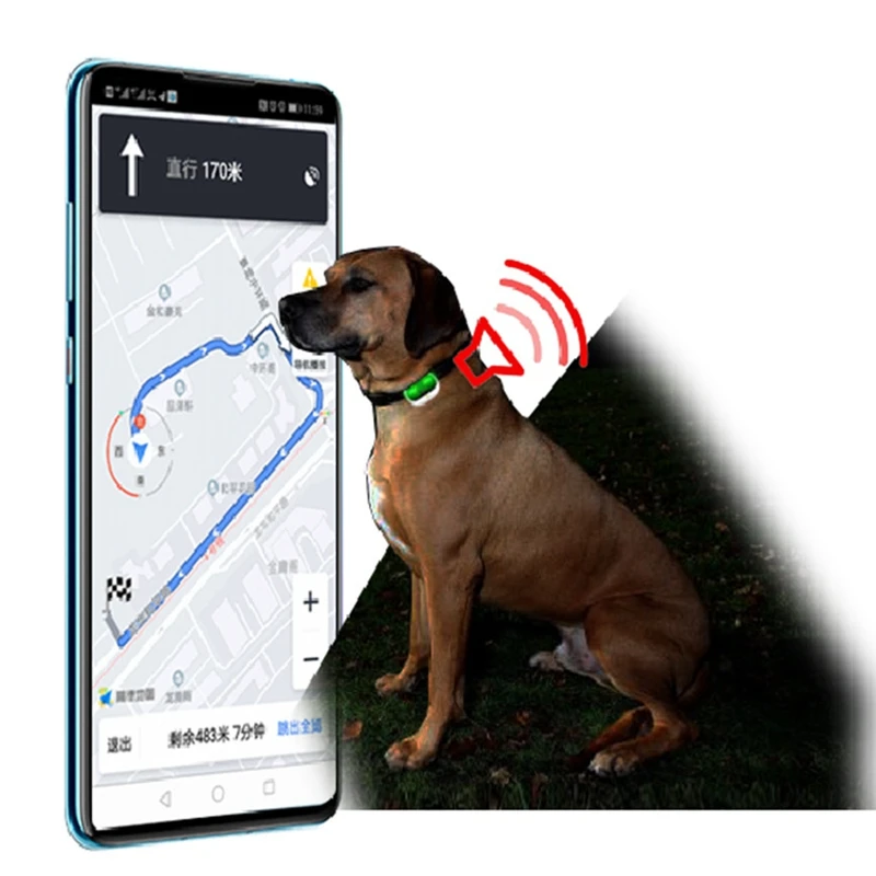 Локатор для домашних животных gps трекер ошейник Водонепроницаемый Анти-потеря голосового вызова позиционирования воротник gps