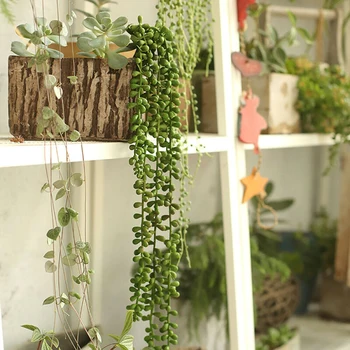 

Gift Artificial Plants Pack Elements Artificial Hanging String of Pearls