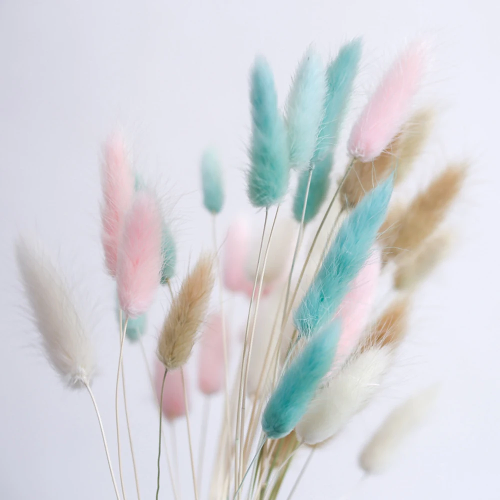 

15Pcs Bulrush Natural Dried Small Pampas Grass Phragmites Communis,Wedding Flower Bunch 3 Colors for Home Decor