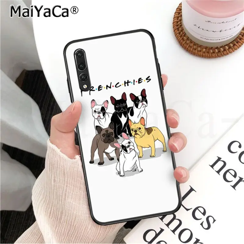 Frenchies Pretty puppy Pug Bulldog