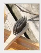 10pcs Charcoal