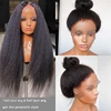 Lace Wigs