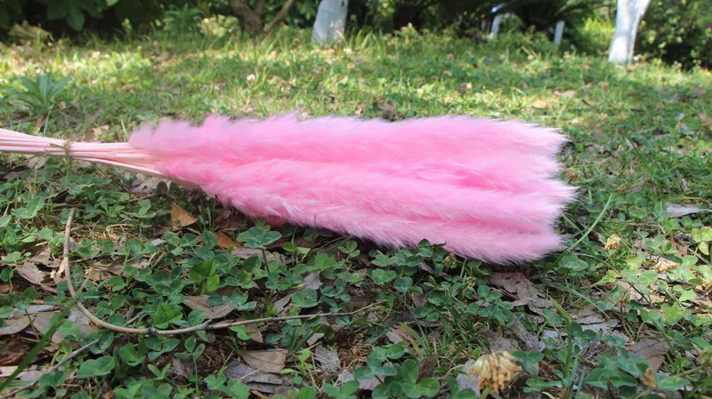 15Pcs Dried Reed Flower Arrangement Natural Pampas Grass For  Modern Home Decoration Party Backdrops Wedding Supplies