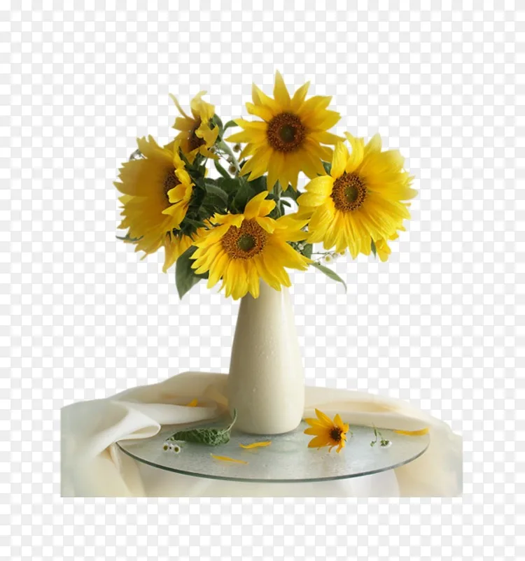 普通向日葵花瓶有十二朵向日葵静物摄影花瓶PNG图片素材免费下载_图片