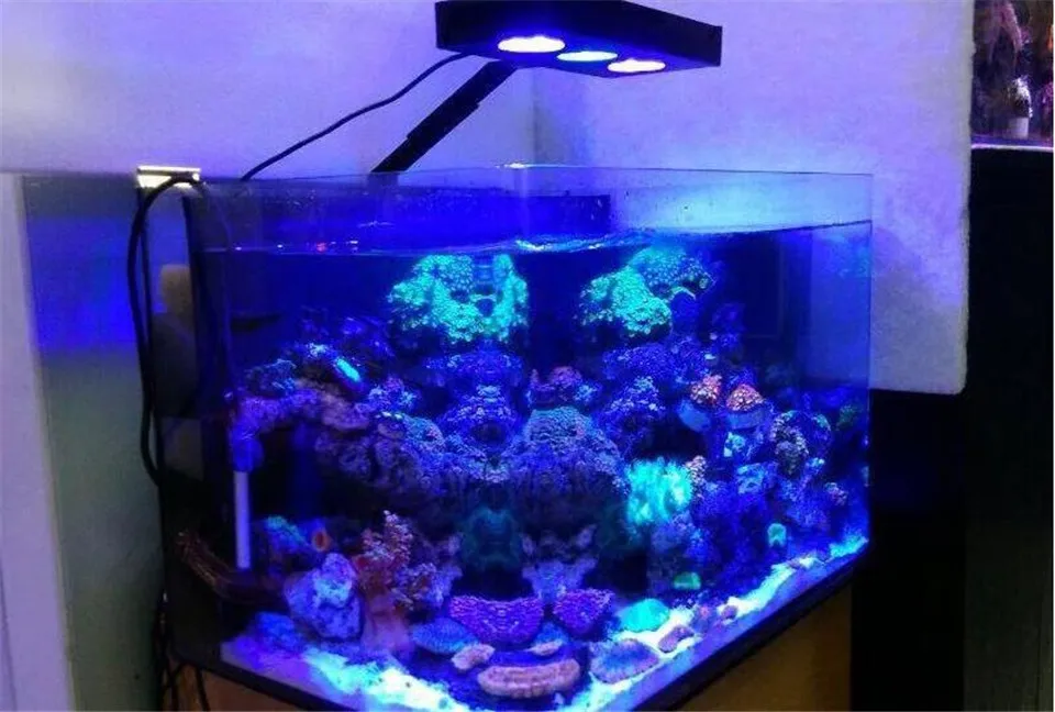 30 Вт Высокая мощность аквариум светодиодный светильник резервуар для соленой воды светильник ing с сенсорным управлением для коралловых рифов