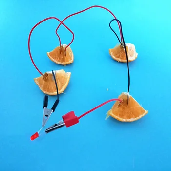 

Feichao Fruit Battery Science Experiment Kit with Electronic Clock& RGB LED for DIY Homemade Teaching Toy School Science Project