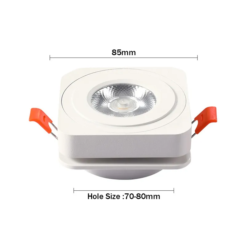 800 X 800 Downlight 4