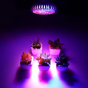 

Full Spectrum Panel LED Grow Light Greenhouse Horticulture Grow Lamp for Indoor Plant Flowering Growth LED Growing Lamp