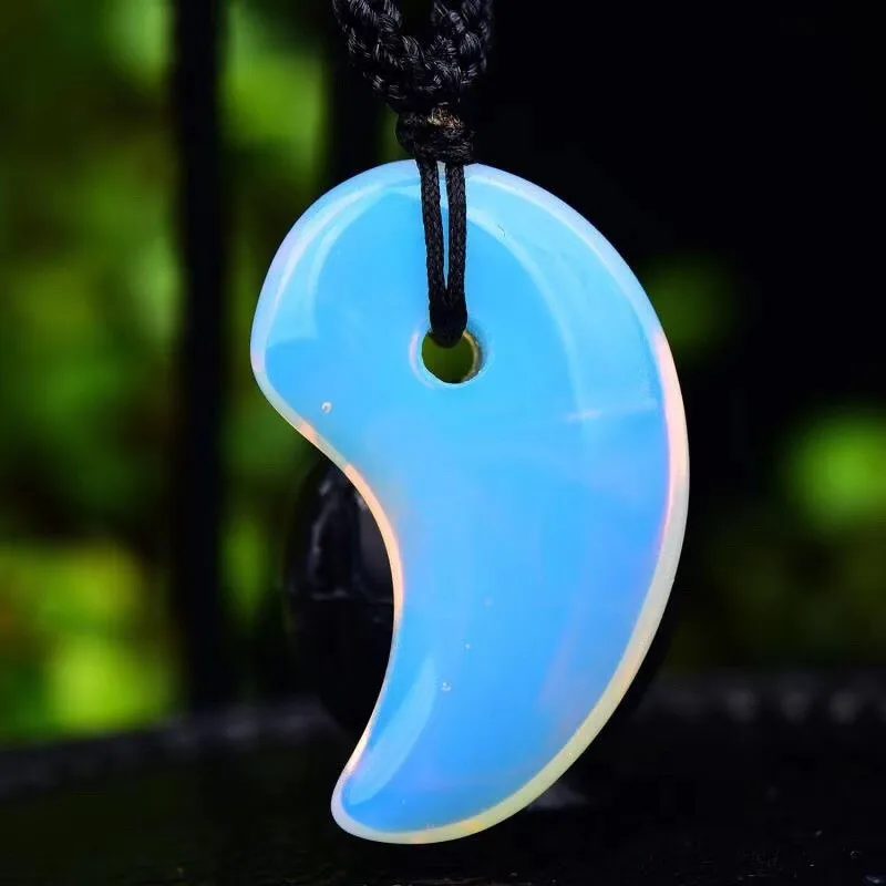 10890505336_828849734