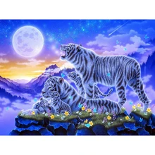 5D Алмазная мозаика, белые тигры, полная круглая дрель, алмазная вышивка, наборы для вышивки крестиком, сделай сам, на заказ, фото, стразы, декор для комнаты