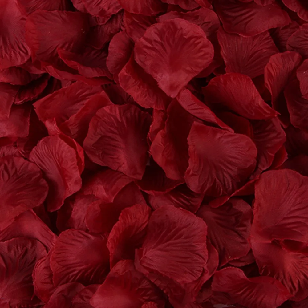 307541_no-logo_307541-2-02-g