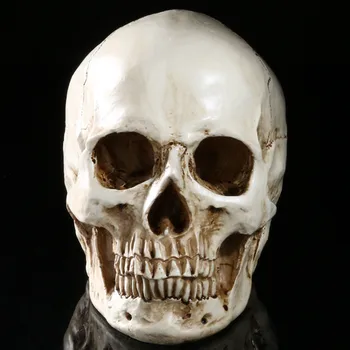 

HeyMamba Resin Egypt Skull Model Handicraft Human Skulls For Decoration Life Size 1:1 Skeleton Skull Decoration Art Gifts