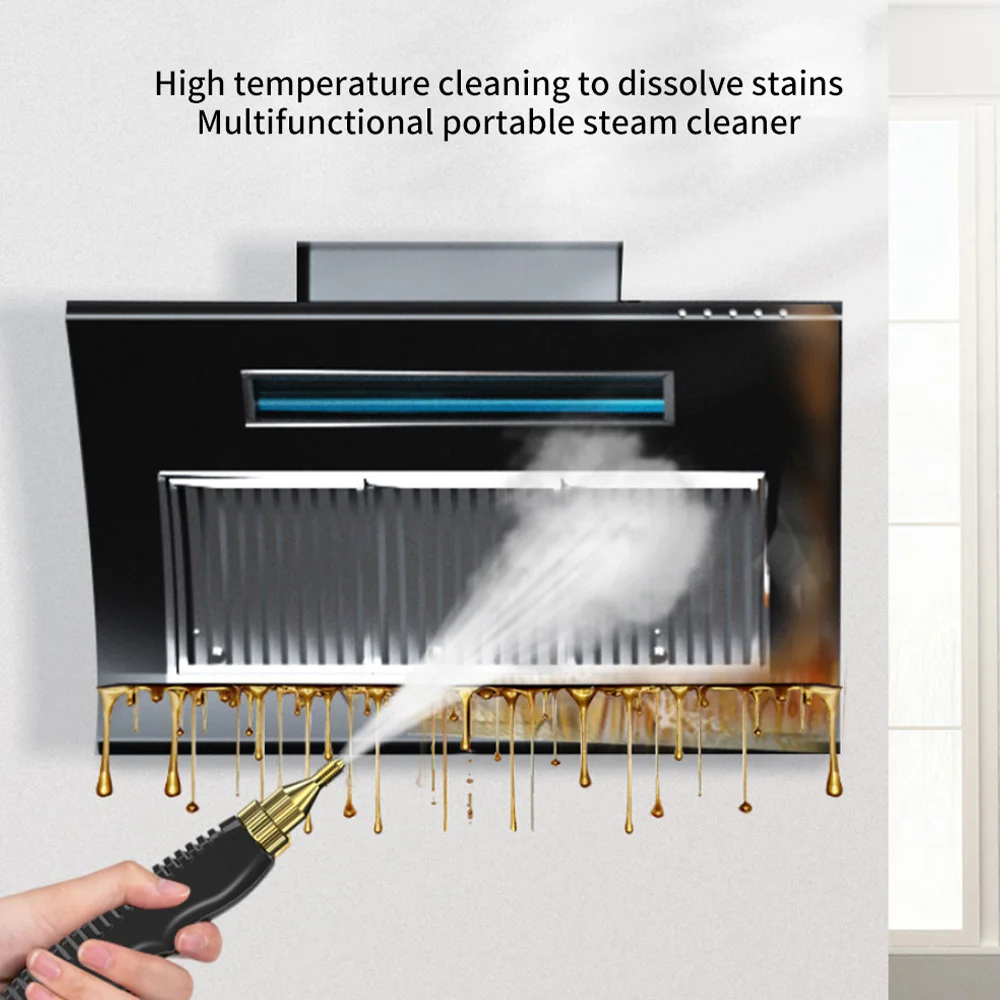 110v 220v High Temperature Steam Cleaner For Hood Air Conditioner