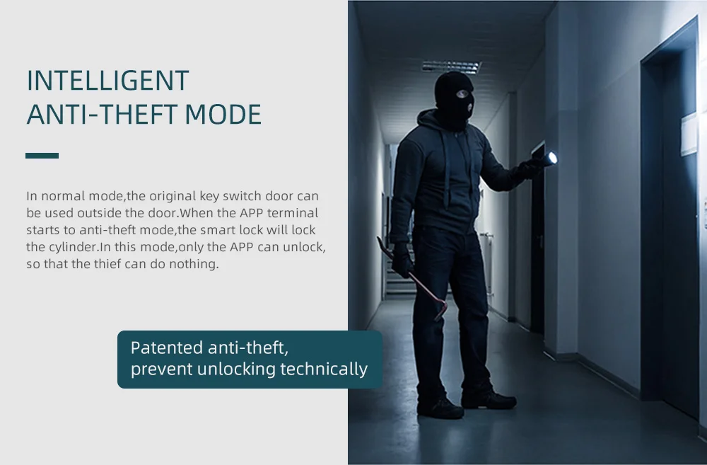 Smart Lock  (11)