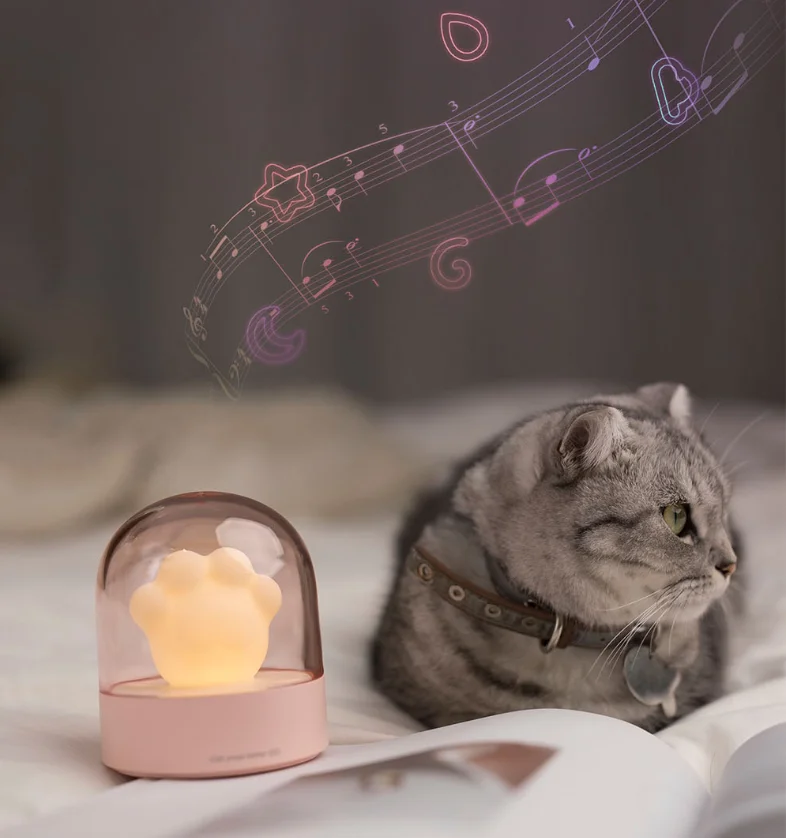 Can i take cats claw at night