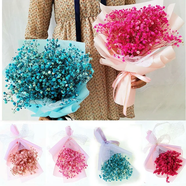 Ramo de flores secas naturales pequeñas, flor Real feliz, prensa de flores  secas, Mini fotografía decorativa