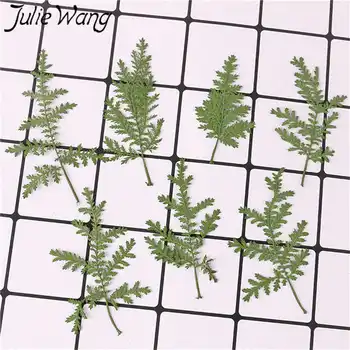 

Julie Wang 12PCS Natural Dried Artemisia Annua Grass Plant Specimen Epoxy Jewelry Making Accessory Phone Case Decoration