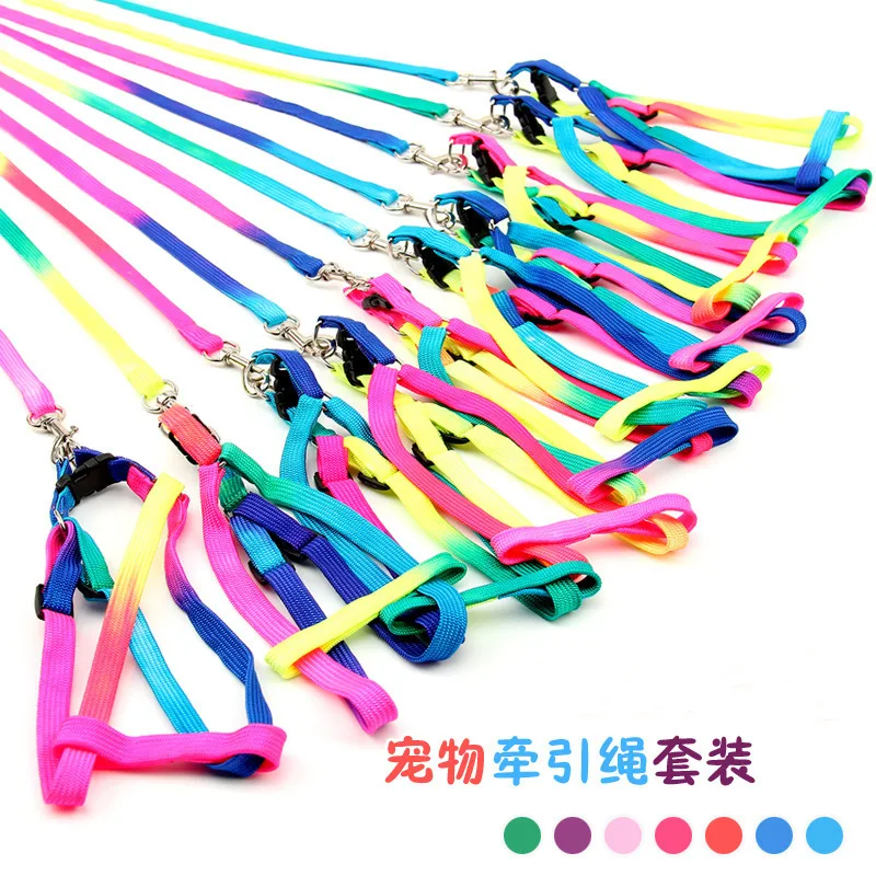 Pet Traction Rope Small Dogs Colorful Harness Teddy Bichon Hand Holding Supplies |