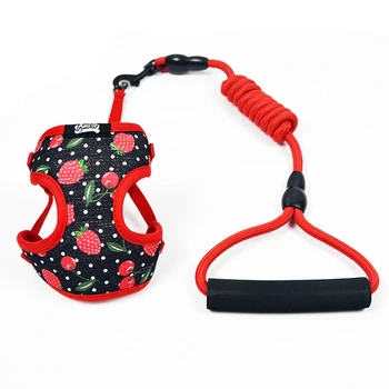 

Fabric Medium Fashion Dog Chain Collar Vest Small Puppy Small Dog Harness Chihuahua Dog Leashes Dogs Pets Accessories II50GQY