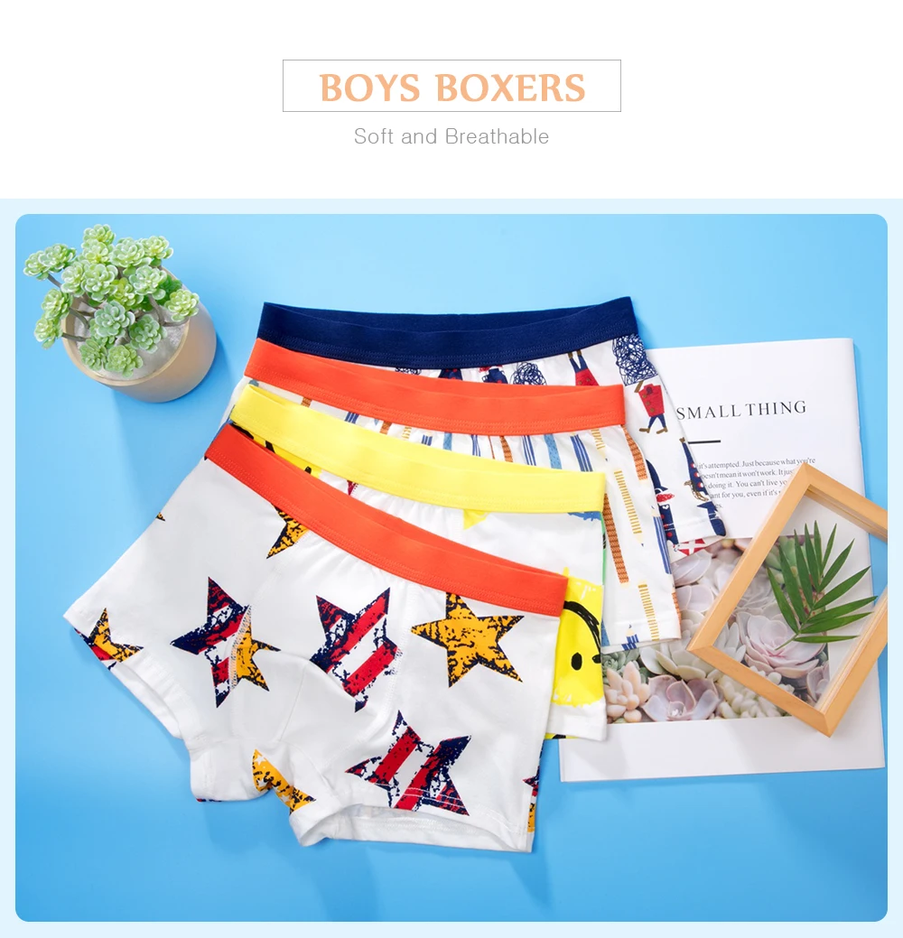 Boy Boxers (3)
