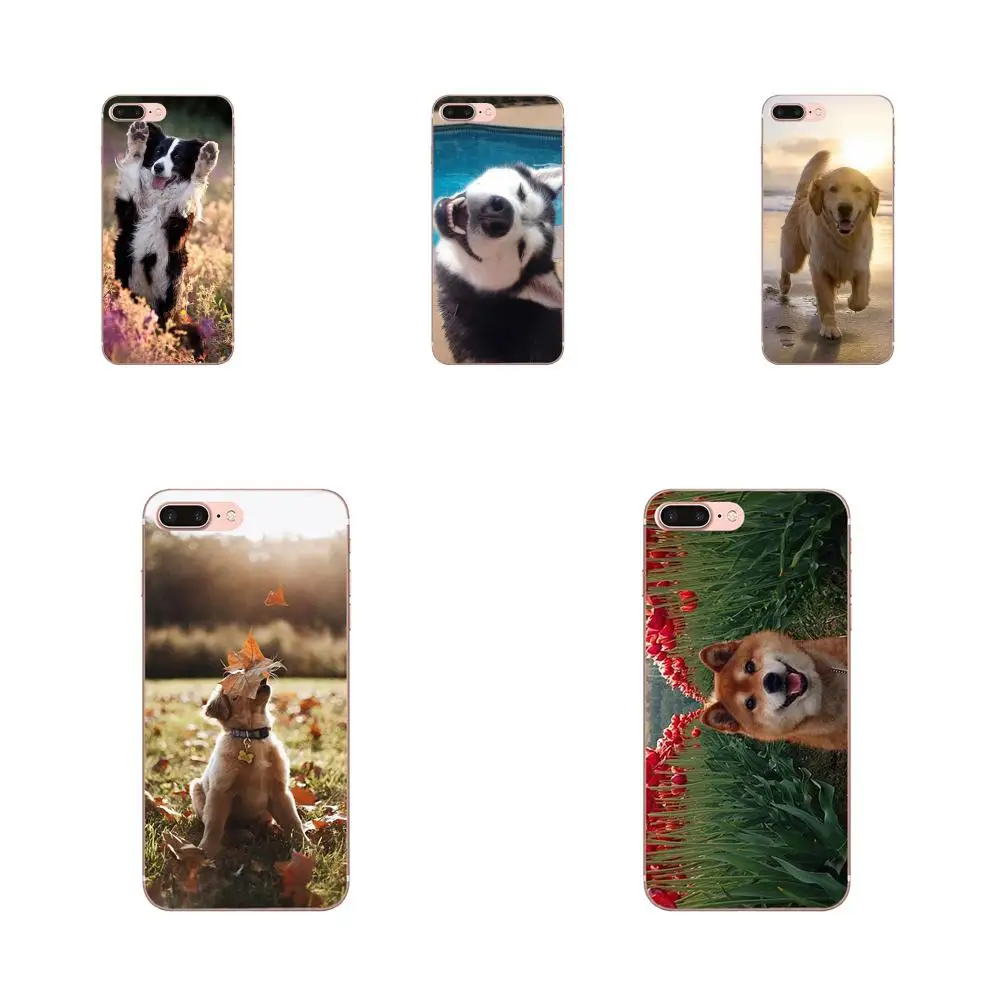 For Xiaomi Redmi K30 K20 Pro 5G Note 9 PRO Max 9s Mi9 mi10 lite redmi 7 8a a3 Silicone Phone Shell Cover Happy Dog | Мобильные