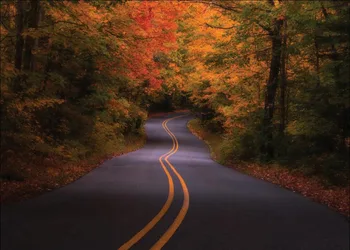 

SHENGYONGBAO Vinyl Custom Photography Backdrops Prop Scenery Road theme Photo Studio Background 19128-24